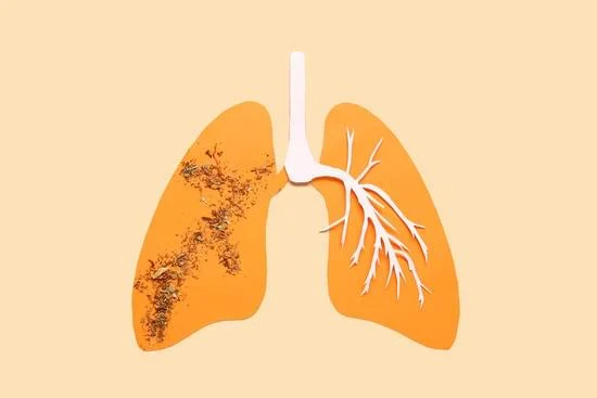 Les méfaits du tabac sur les alvéoles pulmonaires